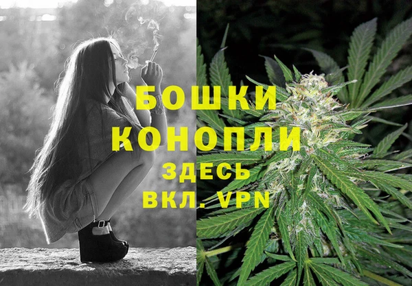 метадон Коряжма
