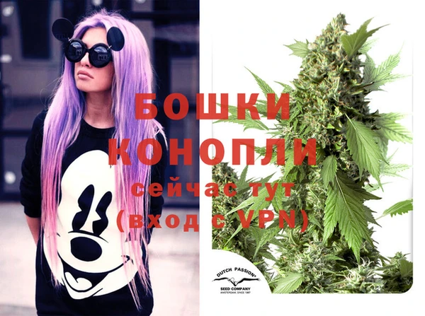 прущие крисы Корсаков