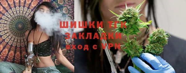 прущие крисы Корсаков