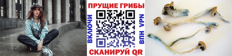 купить Киржач Псилоцибиновые грибы мухоморы